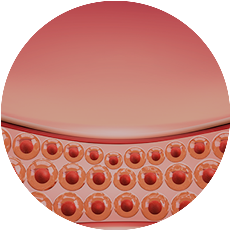 신혈관 생성물질